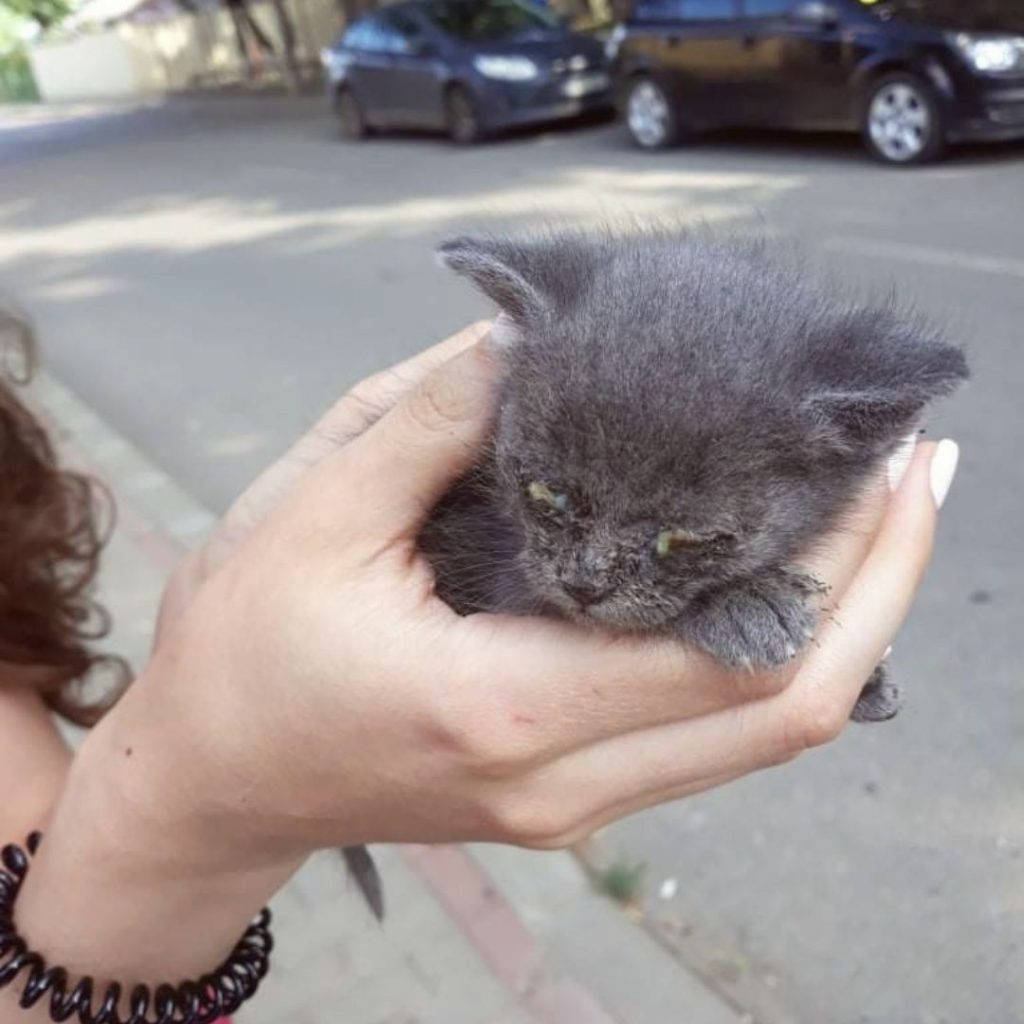 Cindy cand a fost gasita, mica cat palma si bolnava