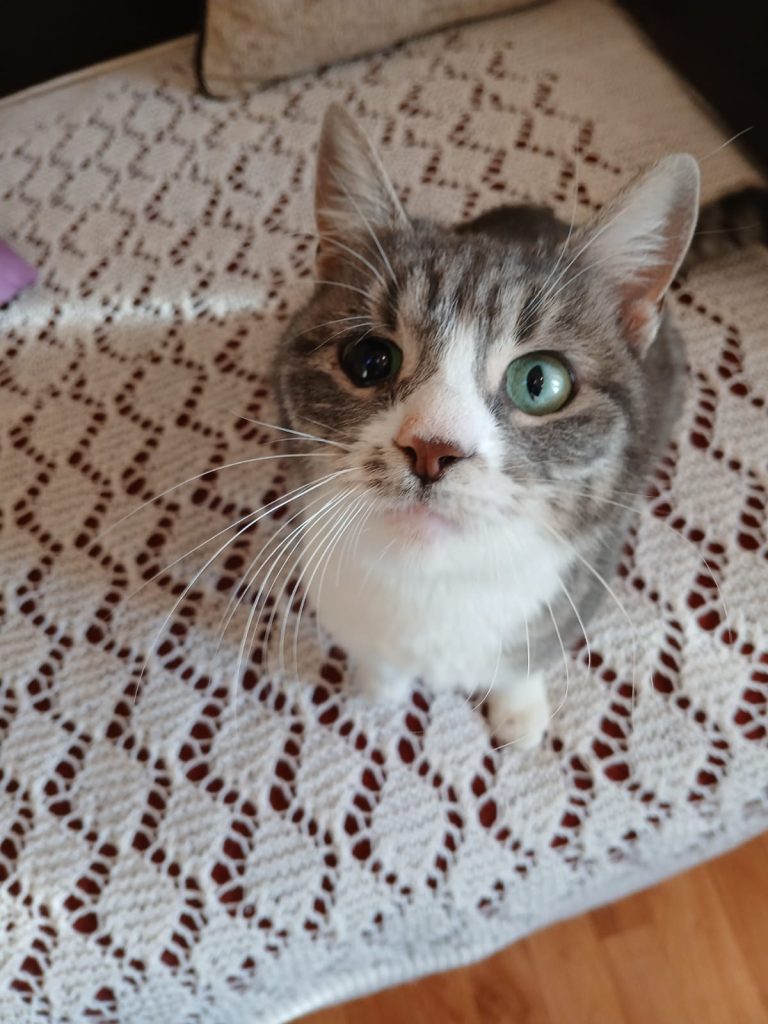 Molly uitandu-se în sus