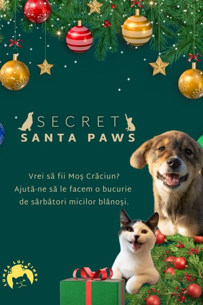 Afiș Secret Santa Paws 2024