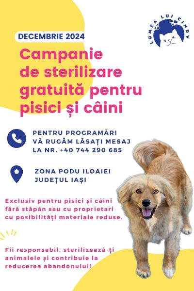 Afiș Campanie de Sterilizare Decembrie 2024
