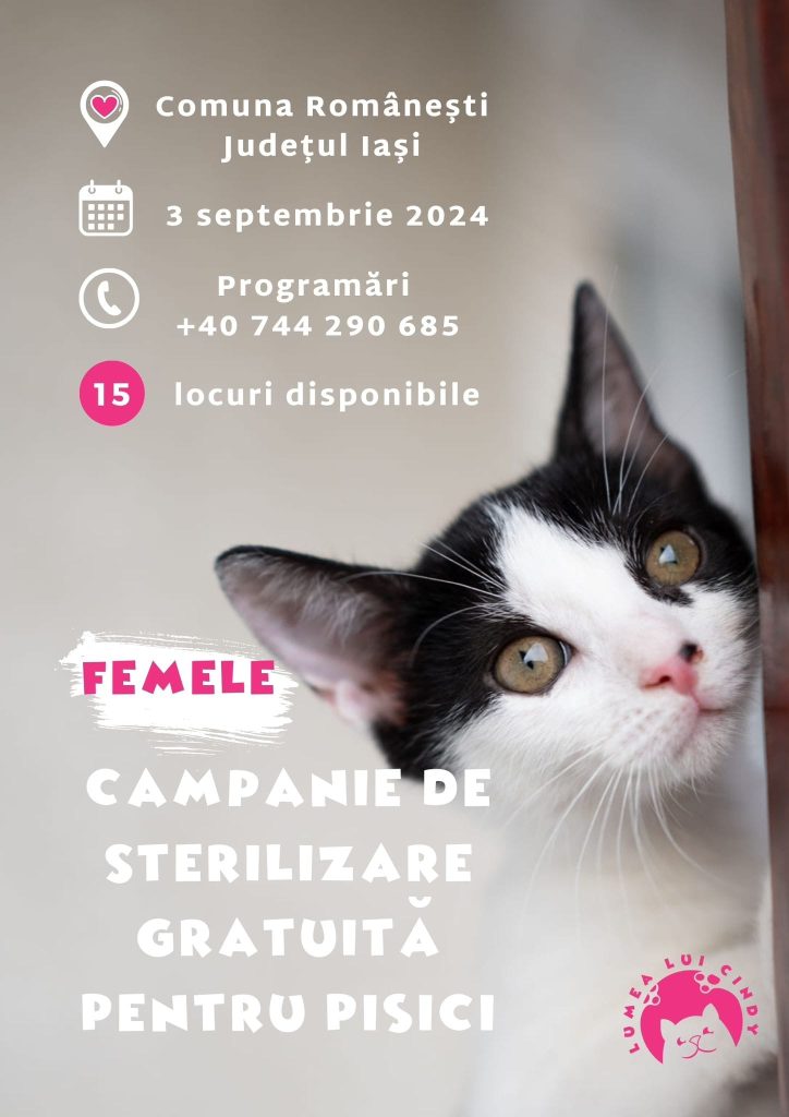 Afiș Campanie de Sterilizare Pisici Com. Românești - Septembrie 2024