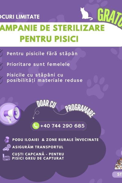 Campanie de Sterilizare Pisici - Iulie 2024