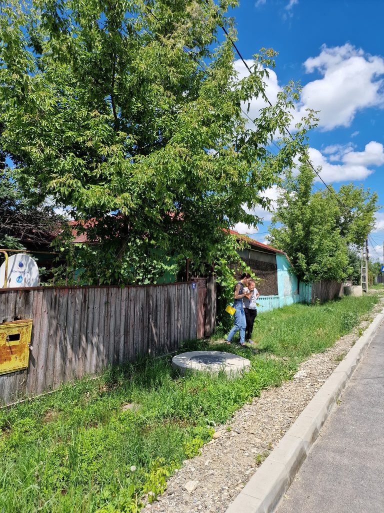 Campanie sterilizare 2024 - Politia Orasului Podu Iloaiei - Paws Vet (11)