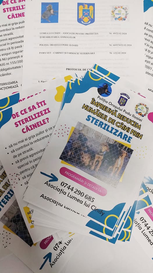 Campanie sterilizare 2024 - Politia Orasului Podu Iloaiei - Paws Vet (13)