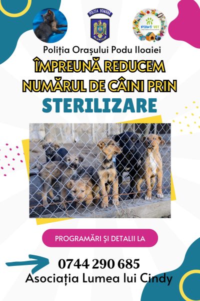 Campanie sterilizare 2024 - Politia Orasului Podu Iloaiei - Paws Vet