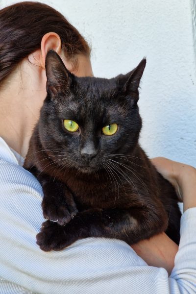 Lars - Lumea lui Cindy