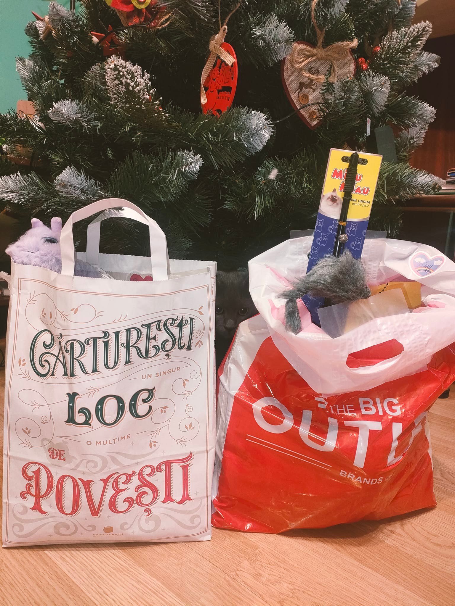 Cadouri primite de Secret Santa Paws 2023