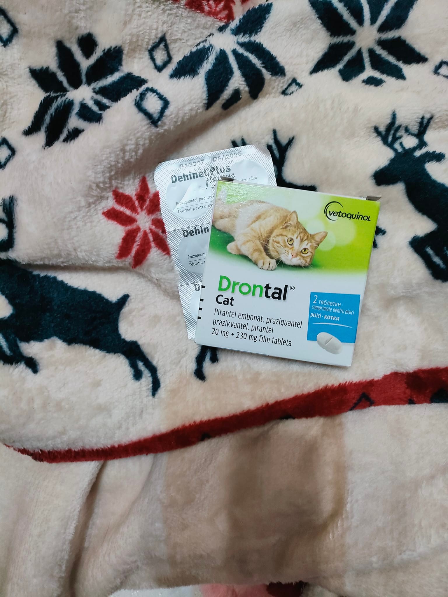 Cadouri primite de Secret Santa Paws 2023