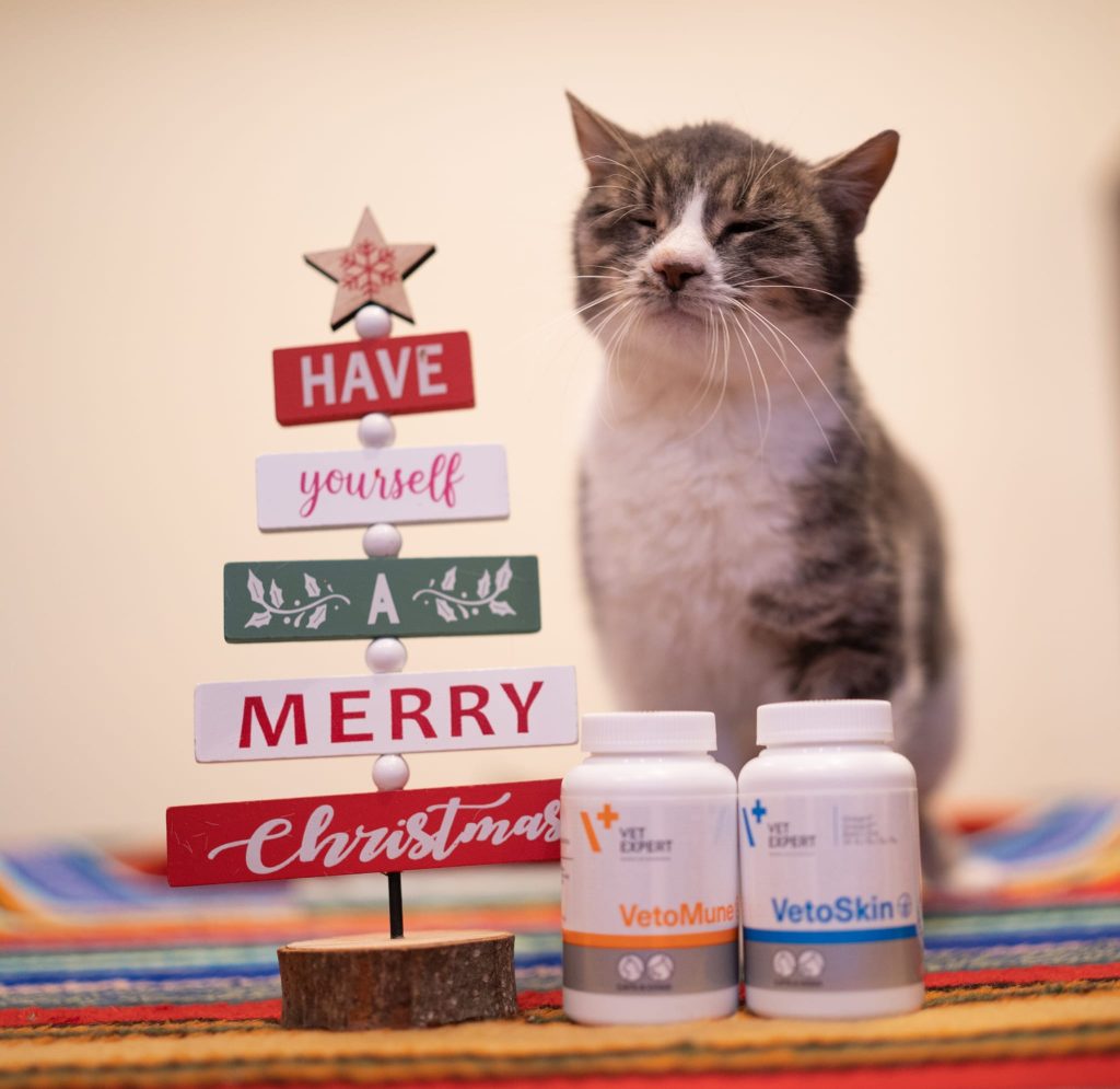 Molly cu cadourile primite