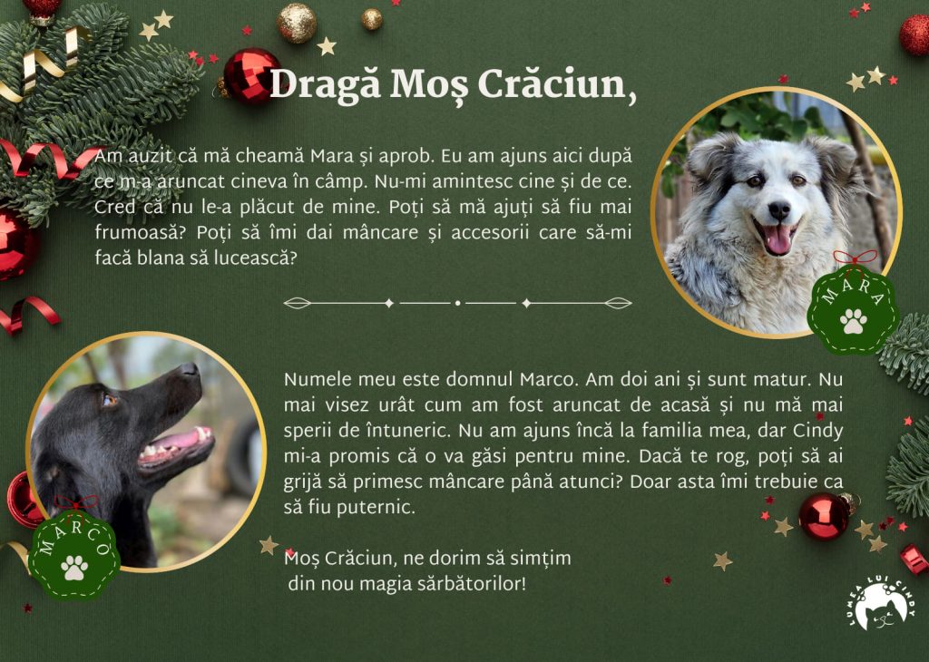 Scrisoare de la Marta și Marco