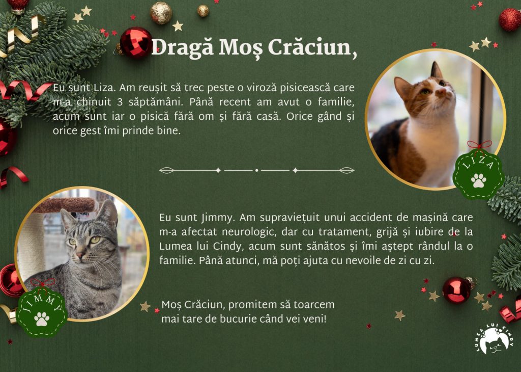 Scrisoare de la Liza și Jimmy