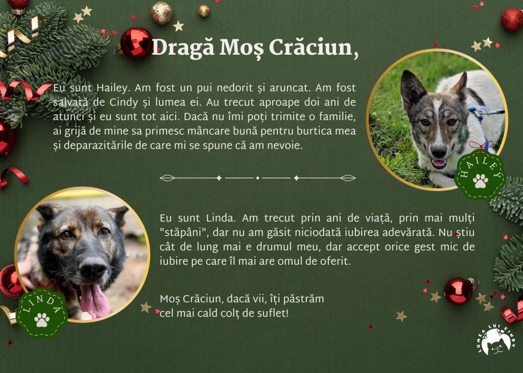 Scrisoare de la Hailey și Linda