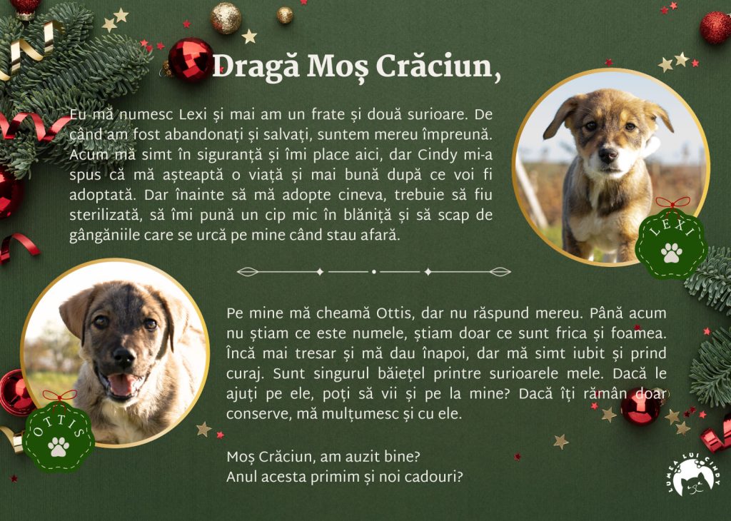 Scrisoare de la Lexi și Ottis