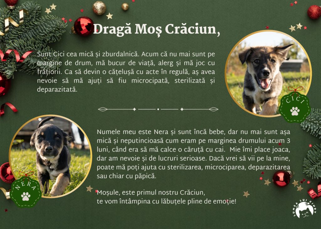 Scrisoare de la Cici și Nera