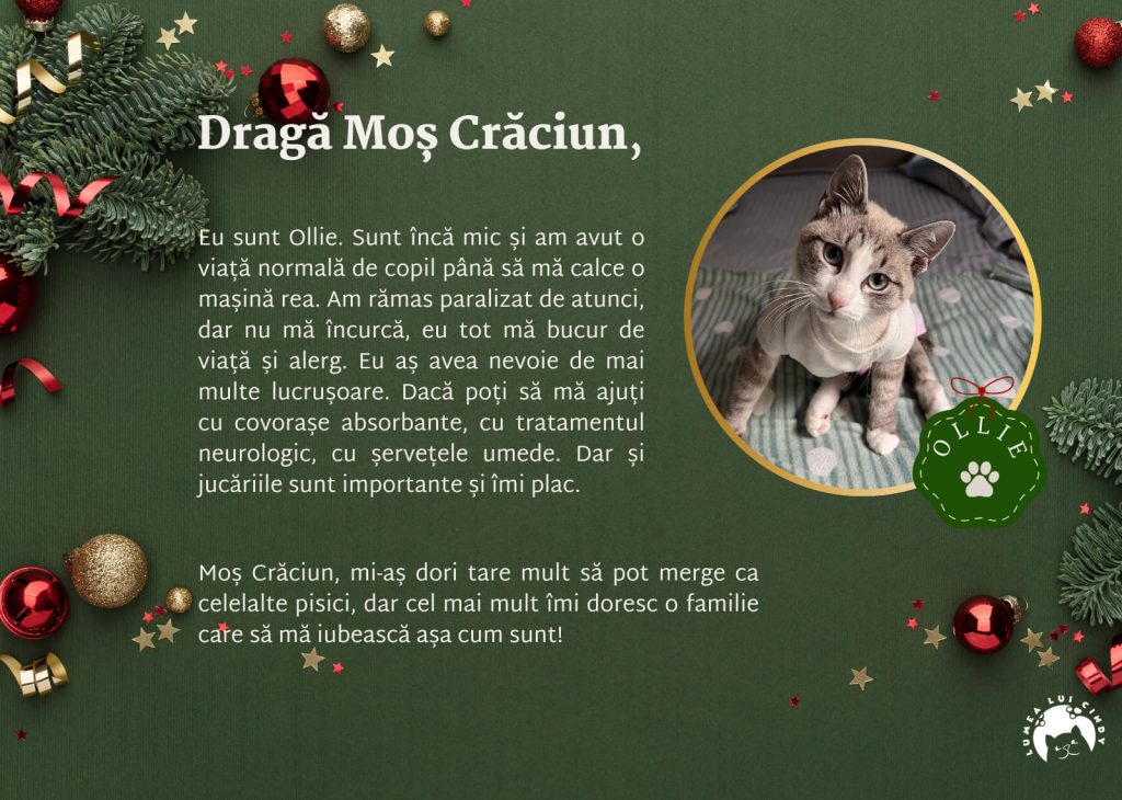 Scrisoare de la Ollie