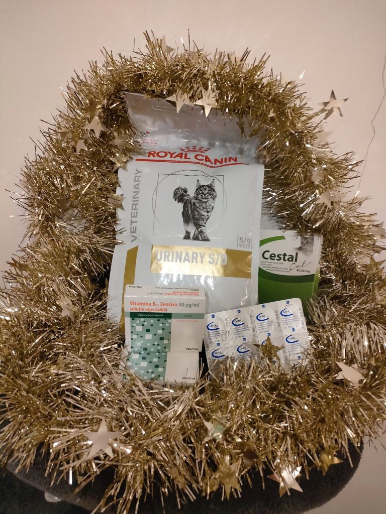 Cadouri primite de Secret Santa Paws 2024