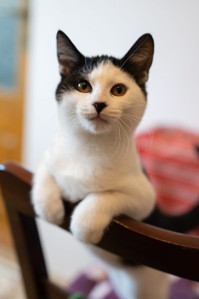 Twix - Lumea lui Cindy