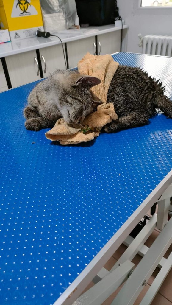 Jimmy la cabinet, dupa ce a fost gasit