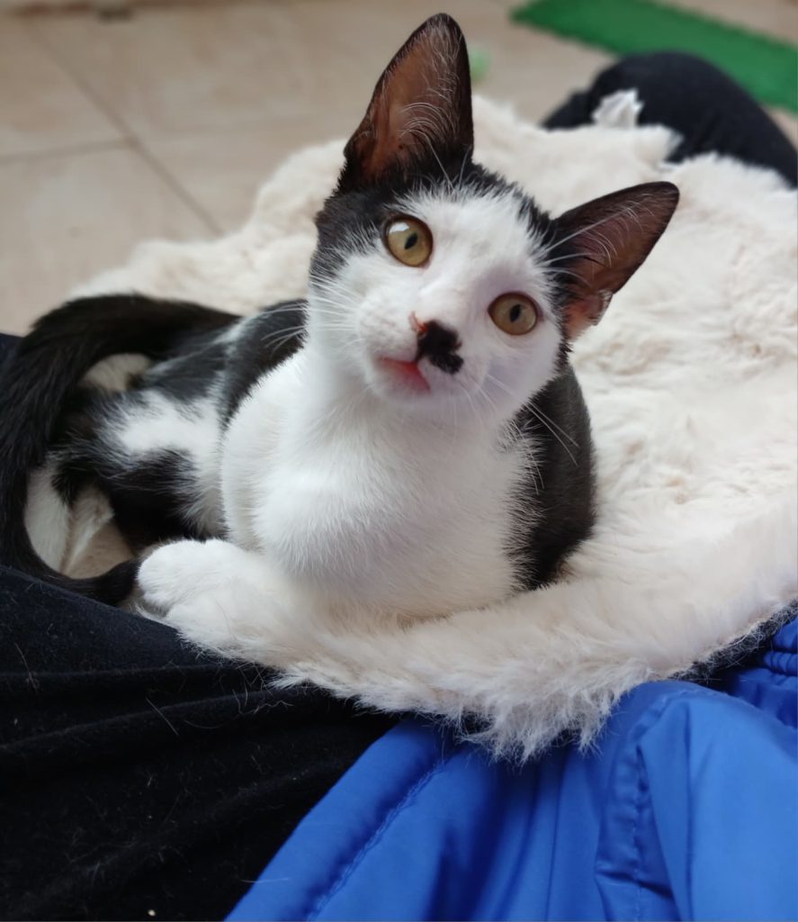 Tina, surioara lui Tim