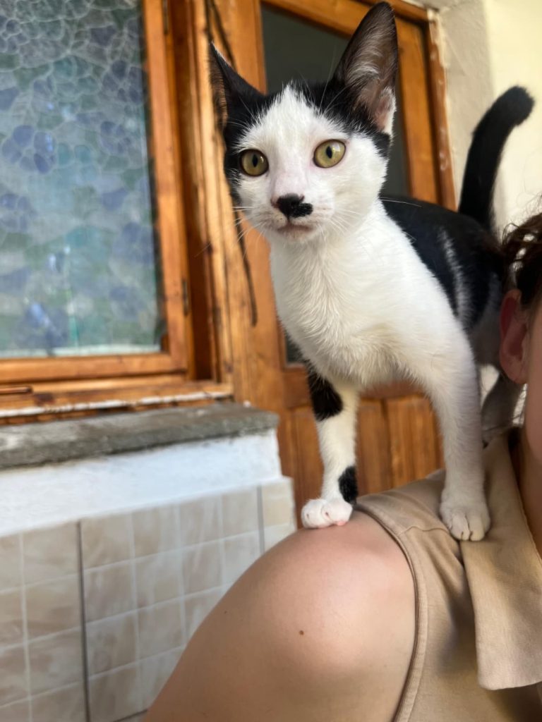 Tina pe umarul Cezarei