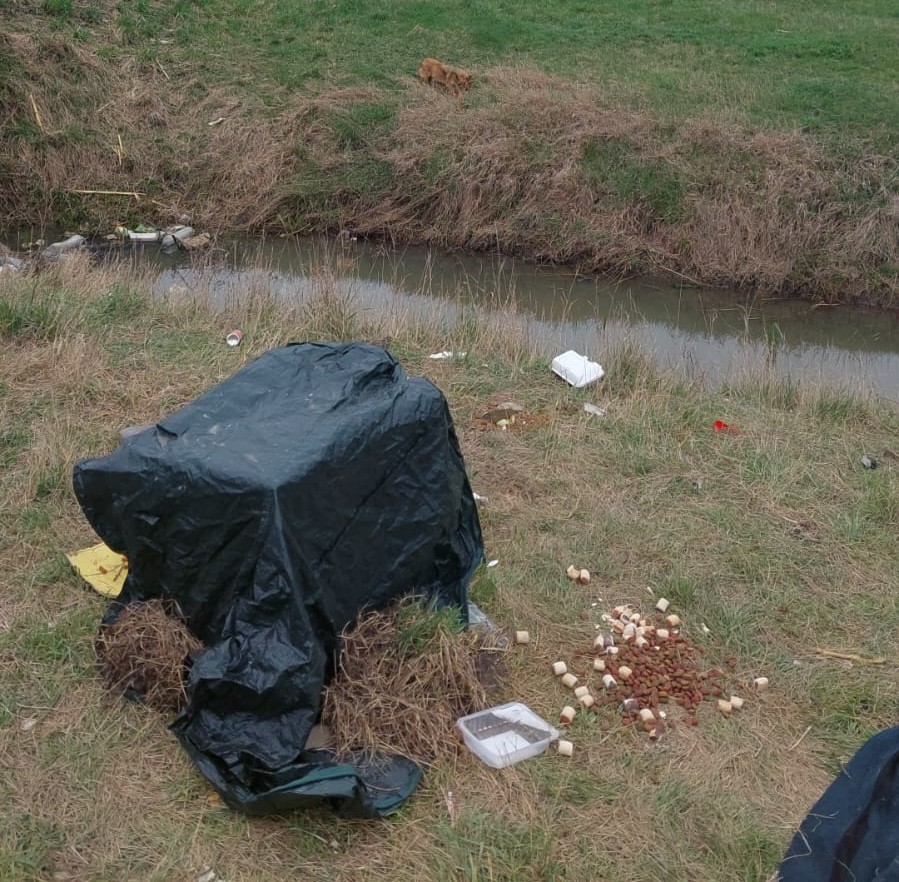 Locul unde a fost gasit Zorro