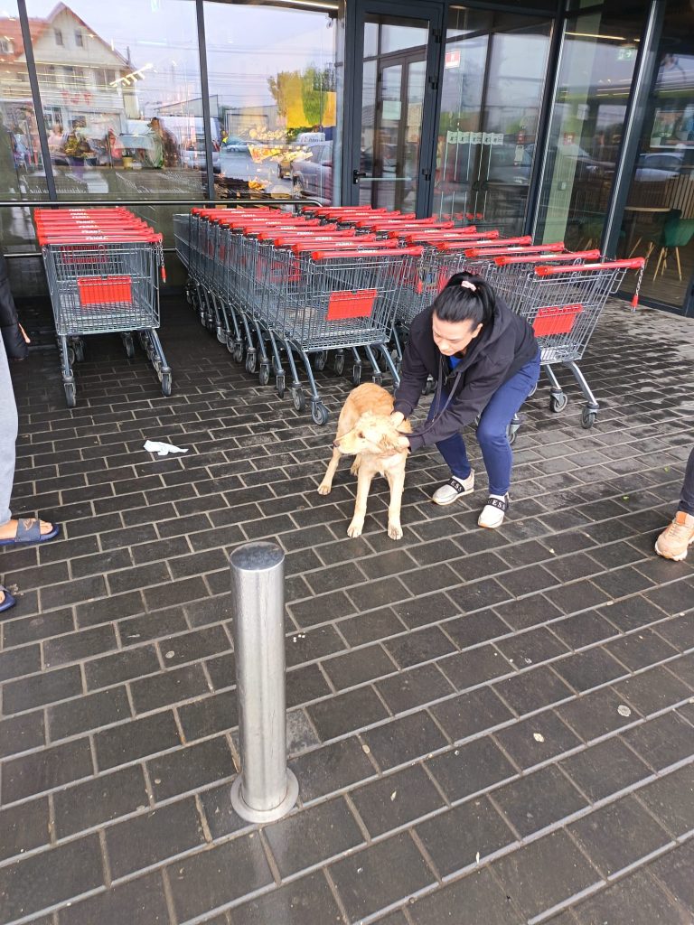 Raluca pe teren cu o catelusa