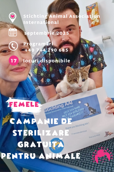 Campanie de Sterilizare Stichting Animal Association International