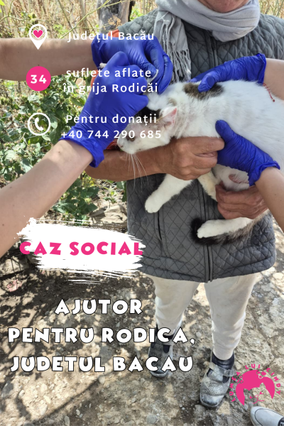 Caz Social Ajutor Pentru Rodica