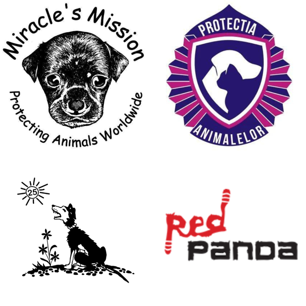 Colaj Asociatii Partenere: Miracle's Mission UK, ASIPA Cluj-Napoca, Stitching AAI, Red Panda