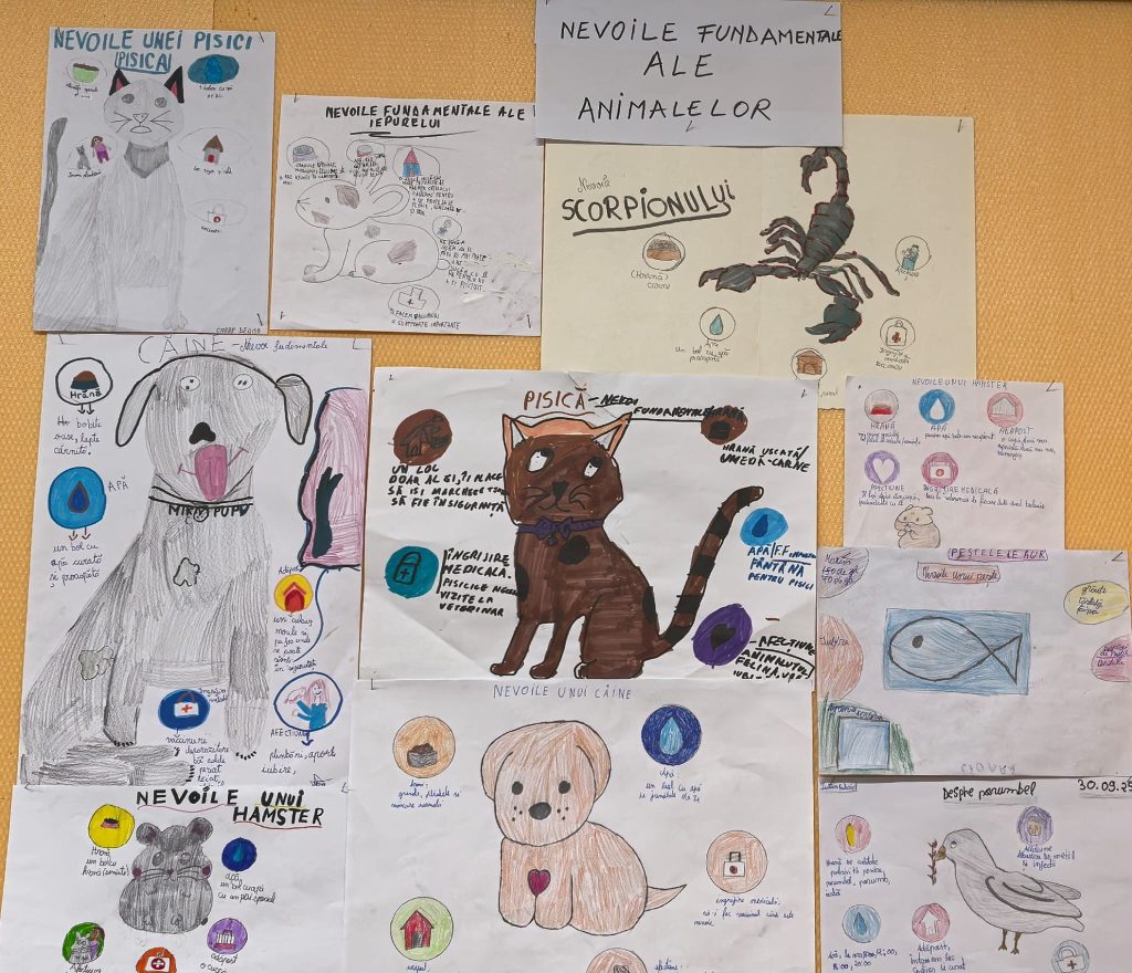 Desenele copiilor de la ora de Educatie pentru oameni despre animale