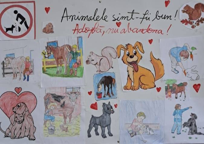 Desenele copiilor de la ora de Educatie pentru oameni despre animale - Adopta, nu cumpara!