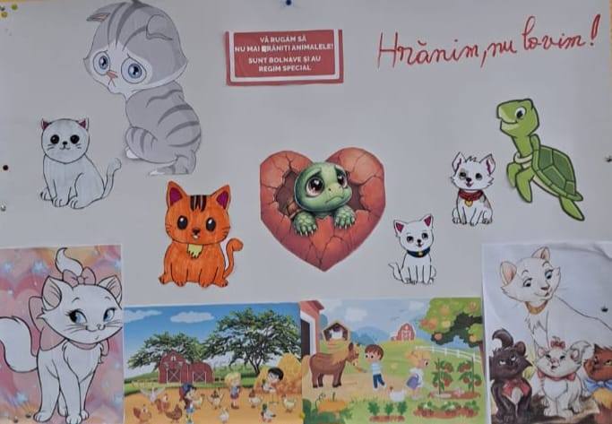Desenele copiilor de la ora de Educatie pentru oameni despre animale - Hranim, nu lovim!