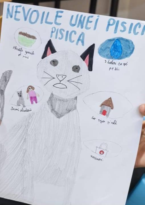 Desenele copiilor de la ora de Educatie pentru oameni despre animale - Nevoile unei pisici
