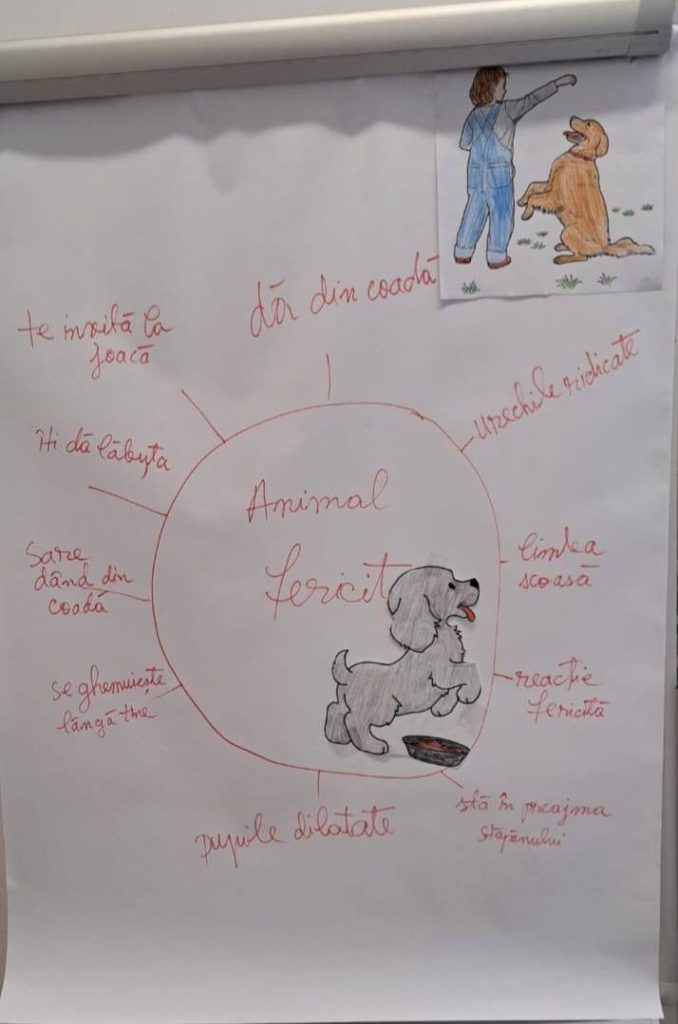 Desenele copiilor de la ora de Educatie pentru oameni despre animale - Ce face un animal sa fie fericit