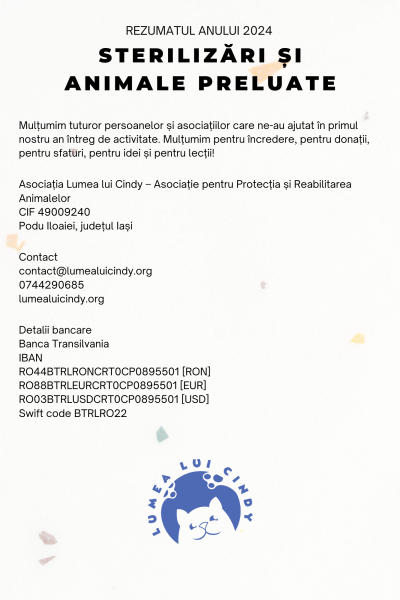 Rezumatul anului 2024