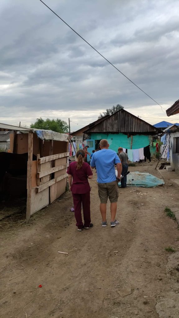 Pe teren cu ambulanta Zoo Vet