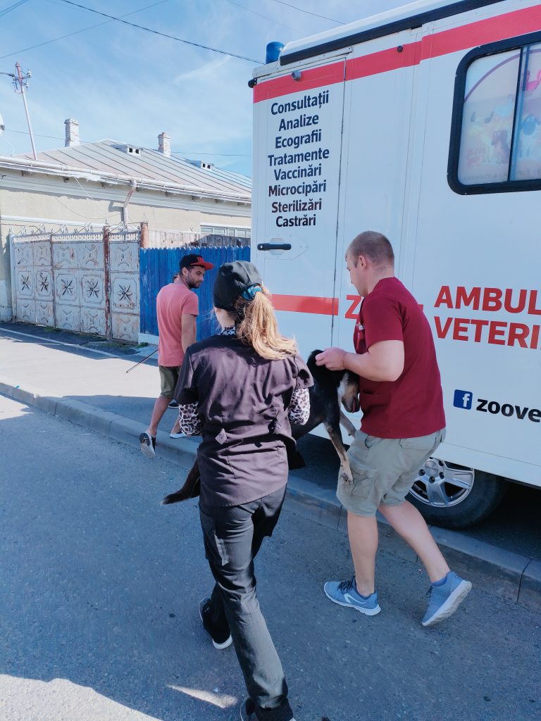 Pe teren cu ambulanta Zoo Vet