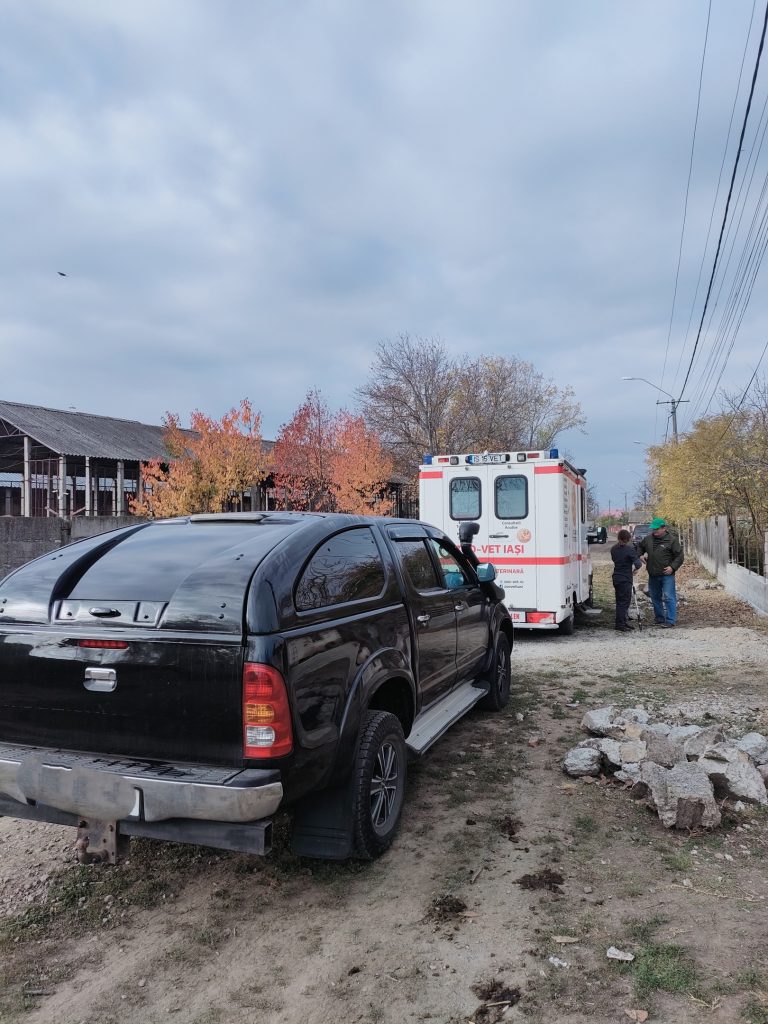 Pe teren cu ambulanta Zoo Vet