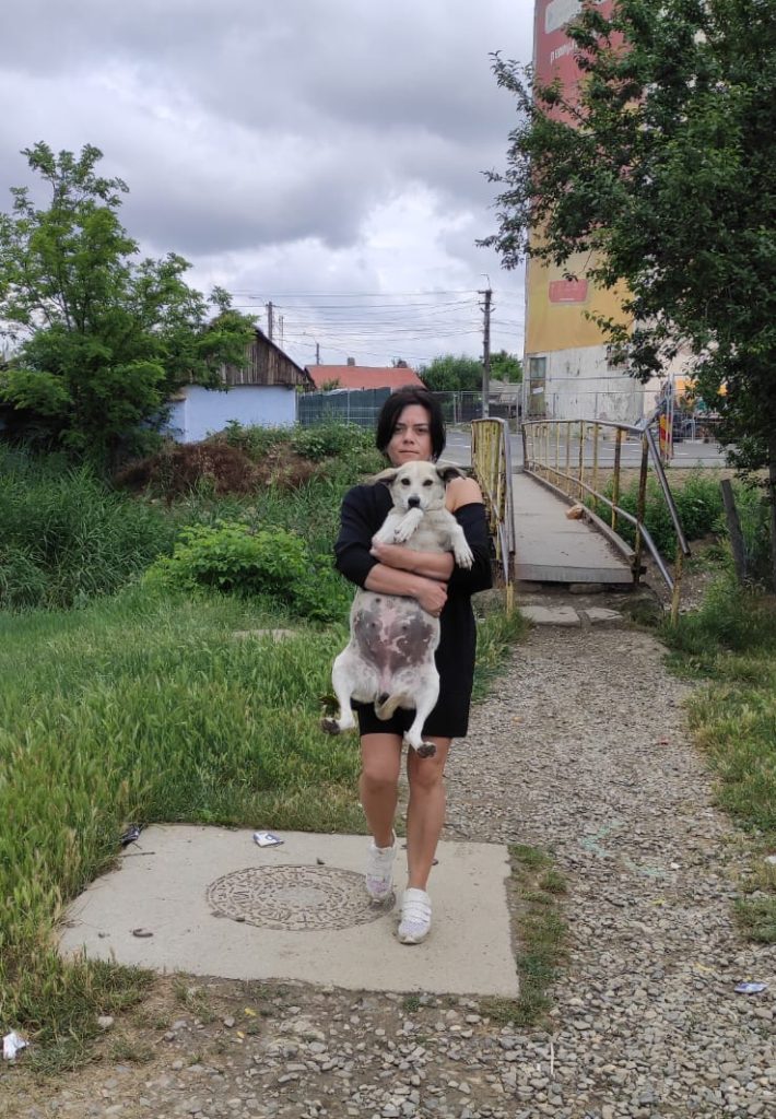 Pe teren cu ambulanta Zoo Vet