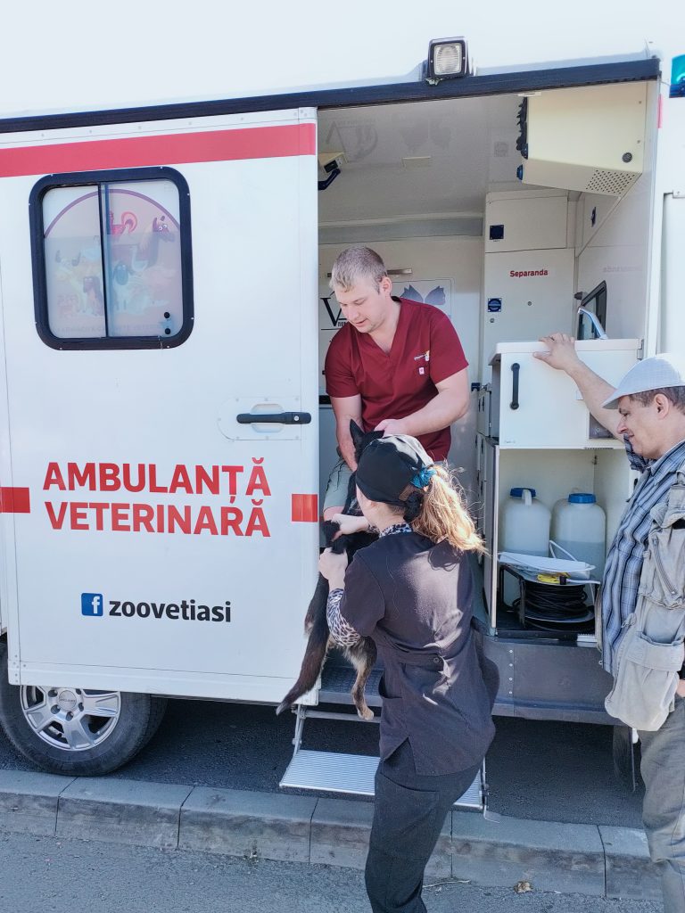 Pe teren cu ambulanta Zoo Vet
