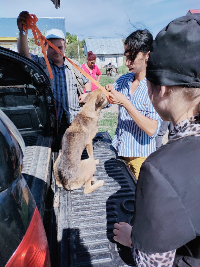 Pe teren cu ambulanta Zoo Vet