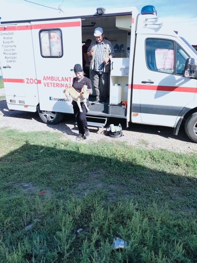 Pe teren cu ambulanta Zoo Vet