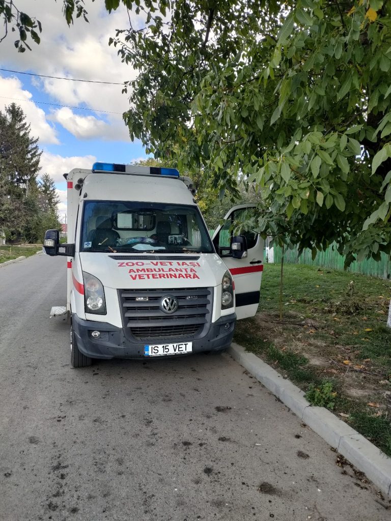 Pe teren cu ambulanta Zoo Vet