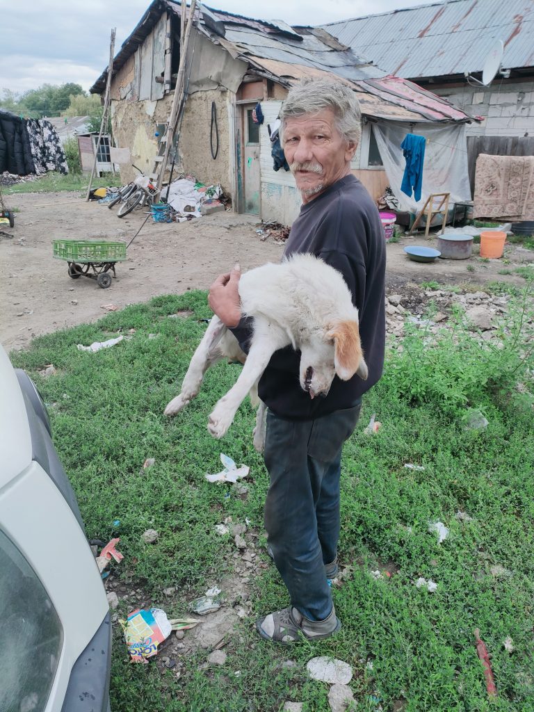 Pe teren cu ambulanta Zoo Vet