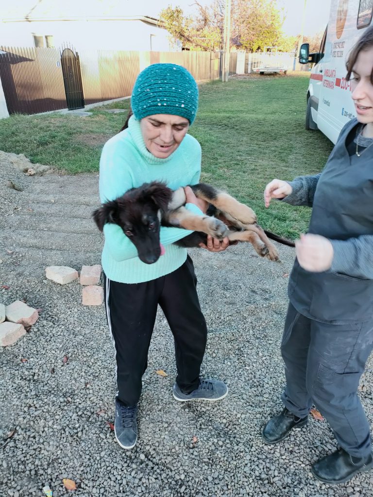 Pe teren cu ambulanta Zoo Vet