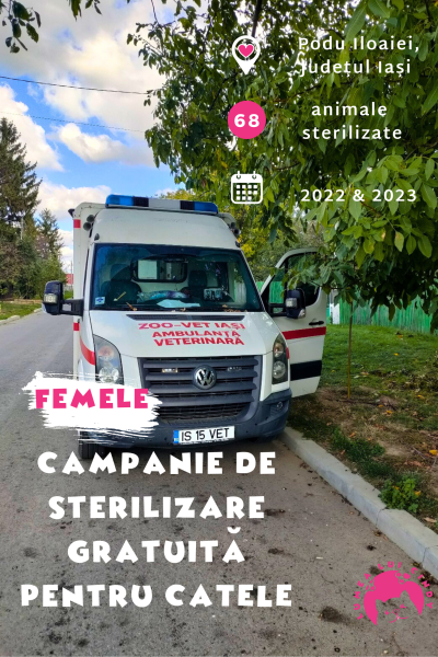 Campanie de Sterilizare cu Ambulanta Zoo Vet, Podu Iloaiei, 2022 & 2023