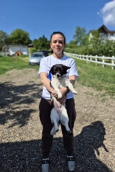 Activitate - munca in teren, cu voluntara noastra Raluca