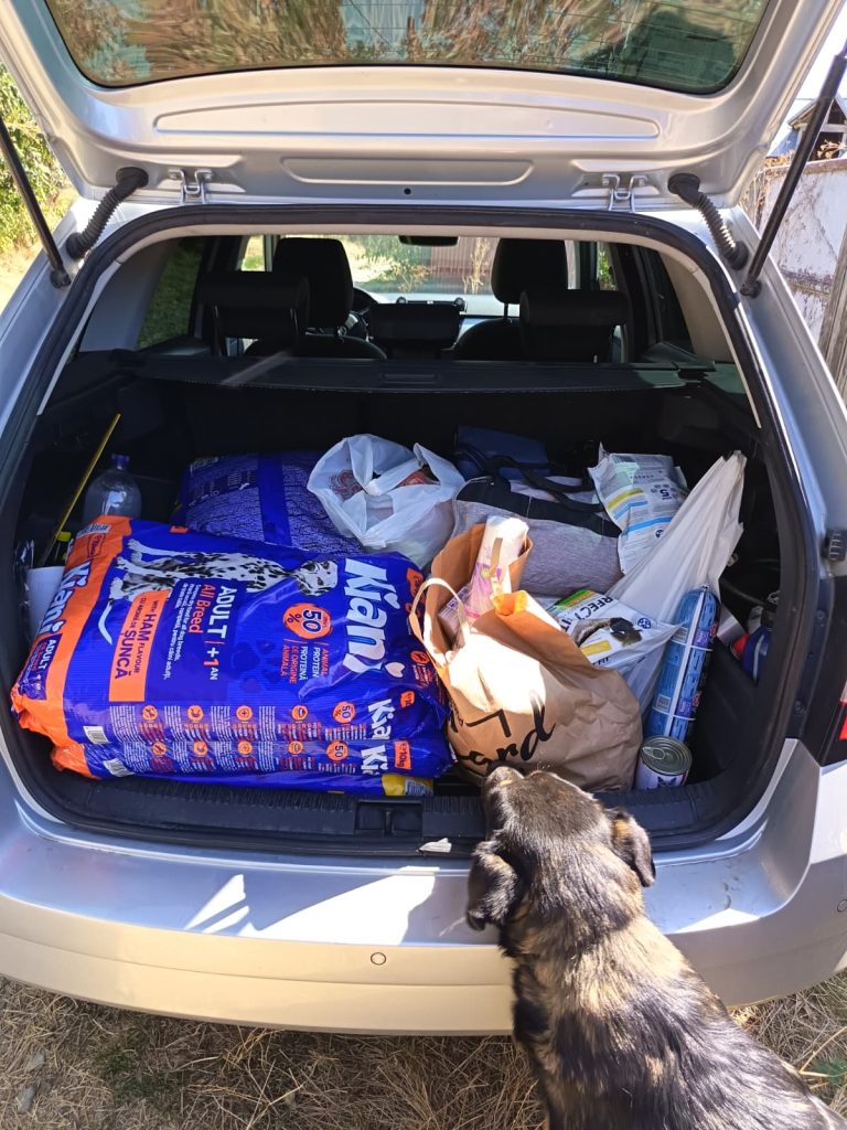 Am incarcat mancarea in portbagajul masinii