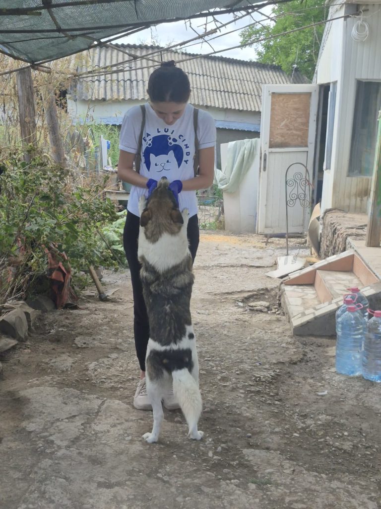 Pe teren, la Rodica, cu un caine alintat