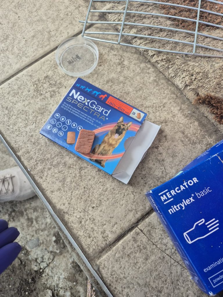 Deparazitare pentru caini Nexgard